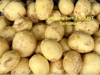KARTUL