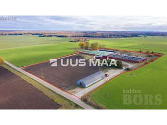TARTUMAA, TARTU VALD, LAEVA KÜLA
