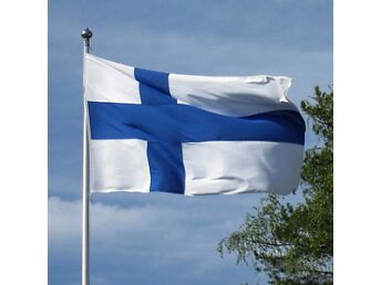 51AMEES OTSIB TÖÖD SOOMES