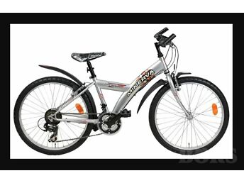 24" LASTE JALGRATAS MINERVA FRESH, 21 KÄIKU - GARANTII