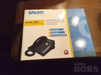 SNOM 300