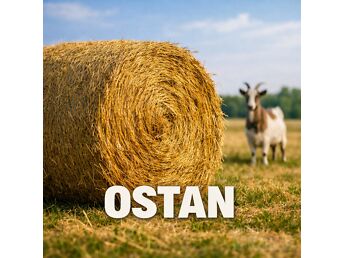 OSTAN HEINA