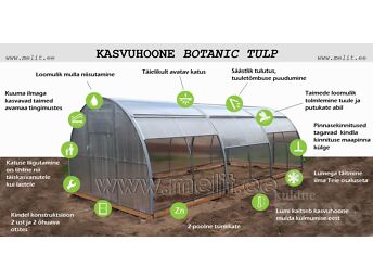 KASVUHOONE BOTANIC TULP 3×4 M