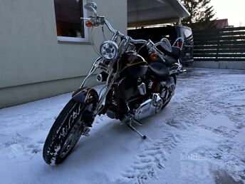 HARLEY-DAVIDSON SCREAMING-EAGLE FXSTSSE2