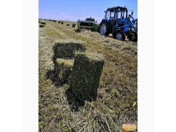 СЕНО В ТЮКАХ 25.07.2025 (HEIN) ﻿