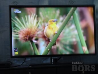 SAMSUNG TELEVIISOR