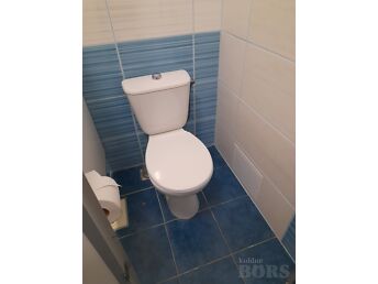 WC TAHAVOOLU POTT