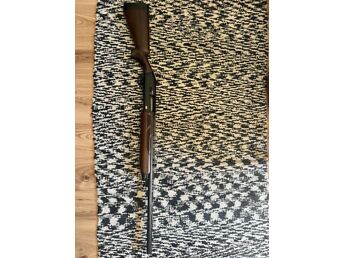 WINCHESTER SX4