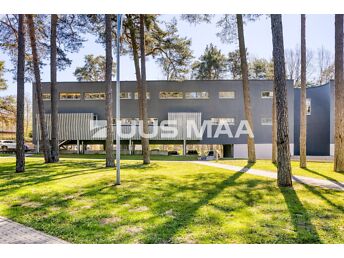 TALLINN, PIRITA, PURDE 6/1