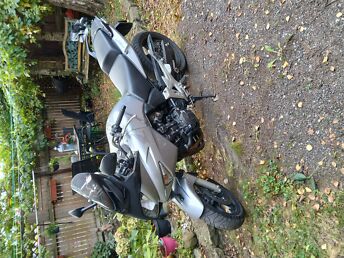 HONDA CBF600SA