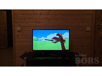 TELER PHILIPS 32" (80 CM)