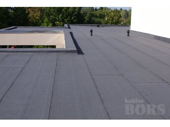 KATUSEKATJA