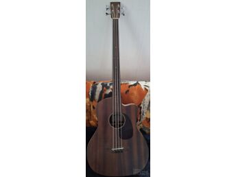 SILEBASS/FRETLESS BASS