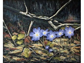 SINILILLED KIIDJÄRVEL (56 X 45.5 CM)