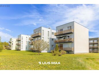 TARTU, PUUPILLI TEE 1/2