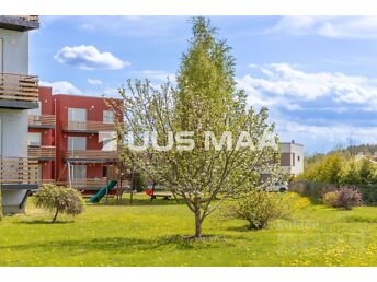TARTU, PUUPILLI TEE 1/2