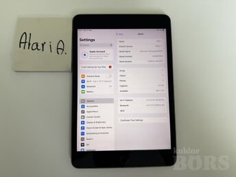 APPLE IPAD MINI 5