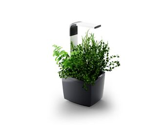 NUTIAED POTT TREGREN T3 KITCHEN GARDEN - WIFI - SMART - GARANTII