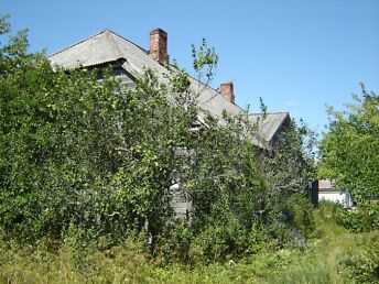 PÄRNUMAA, SAARDE VALD, TIHEMETSA  5,5 HA