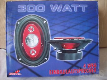AUTOKÕLARID CAR TECHNIC 4 RIBALINE 300 WATT