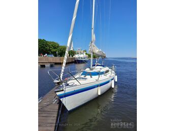 INFERNO 29 7 kW -85
