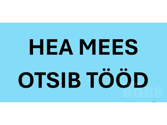 HEA MEES OTSIB TÖÖD