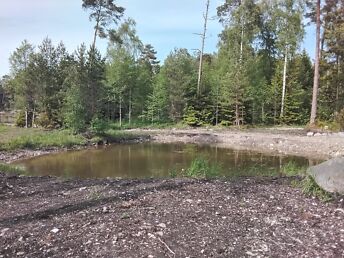 HIIUMAA, HIIUMAA VALD, KALANA KÜLA