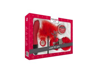 TOYJOY LUX BOX