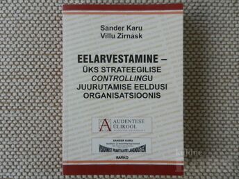 SANDER KARU VILLU ZIRNASK "EELARVESTAMINE"