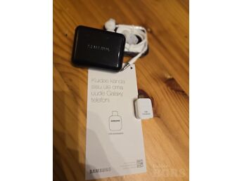 SAMSUNG KÕRVAKLAPID