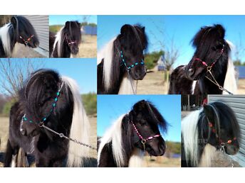SHOW HALTERS