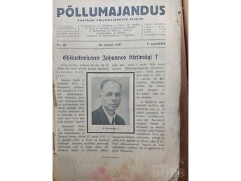 PÕLLUMAJANDUS