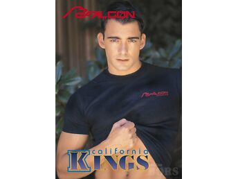 2 X GAY DVD