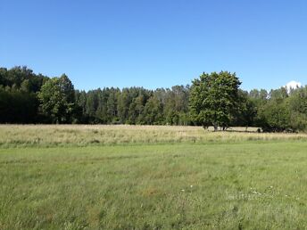 SAAREMAA, SAAREMAA VALD, RIKSU, RANTSI