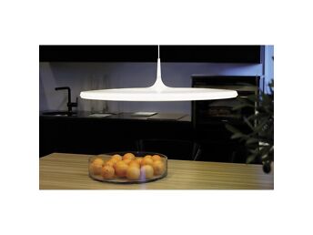 LAEVALGUSTI, TAPIO ANTTILA SOOME DISAIN, D 40CM 195€