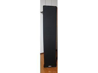 ÜKSIK POLK AUDIO TSI 300 KÕLAR
