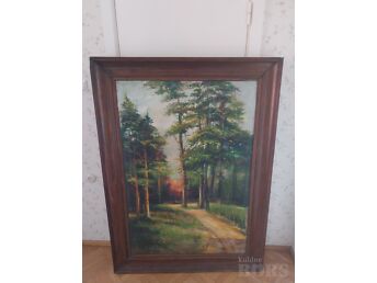 METSATEE PÄIKESELOOJANGUS