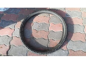 24" REHVID