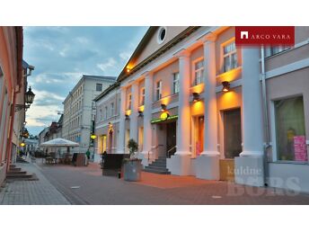 TARTUMAA, RÜÜTLI 11, TARTU, KESKLINN