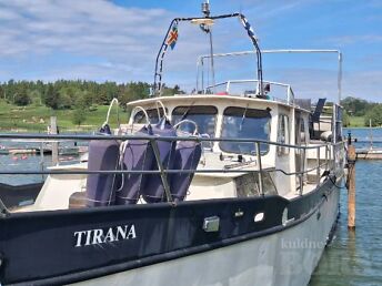 PALMA 40