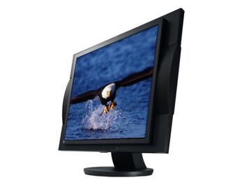 17" EIZO LCD MONITOR FLEXSCAN L578 - GARANTII