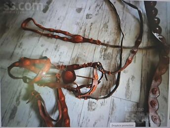 BRIDLES