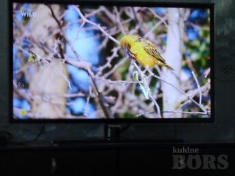 SAMSUNG TELEVIISOR