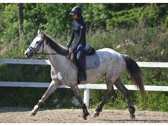 OTSIB OMA KODU 2020.A SÜNDINUD ESH HALL MÄRA