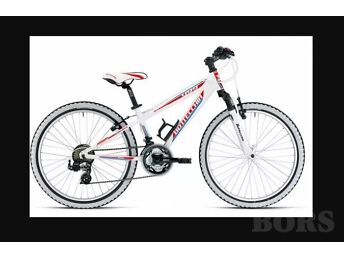 24" JALGRATAS BOTTECCHIA 499, 21 KÄIKU - SHIMANO TX55 KÄIGUVAHETUS - BTC V-PIDURID - GARANTII
