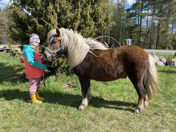 SHETLANDI RUUN PEETRIKE