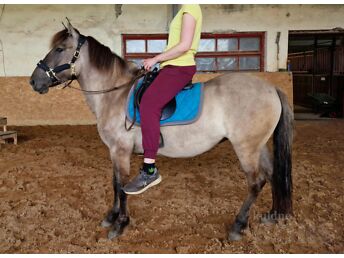 PONI MÄRA