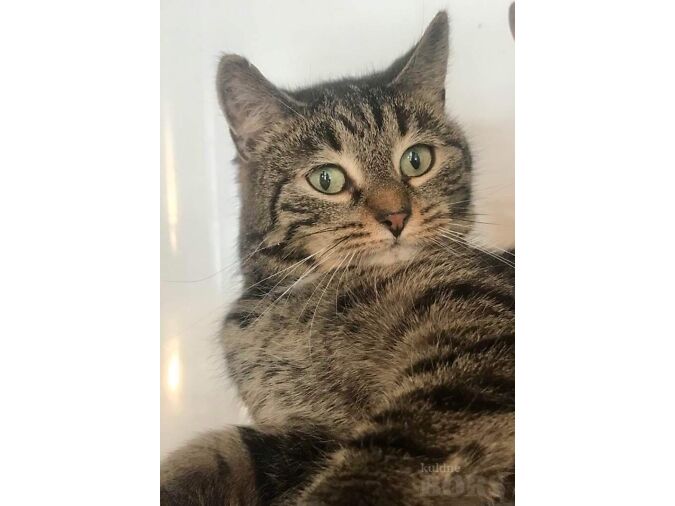 PALUN TUTVU MEIE MTÜ PAITA MIND HOOLEALUSTEGA!