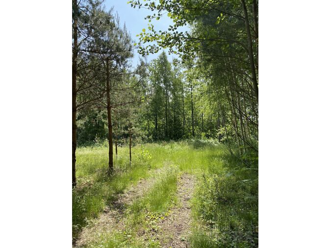 HIIUMAA, HIIUMAA VALD