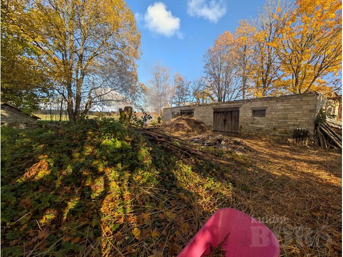 SAAREMAA, MUHU VALD, HELLAMAA